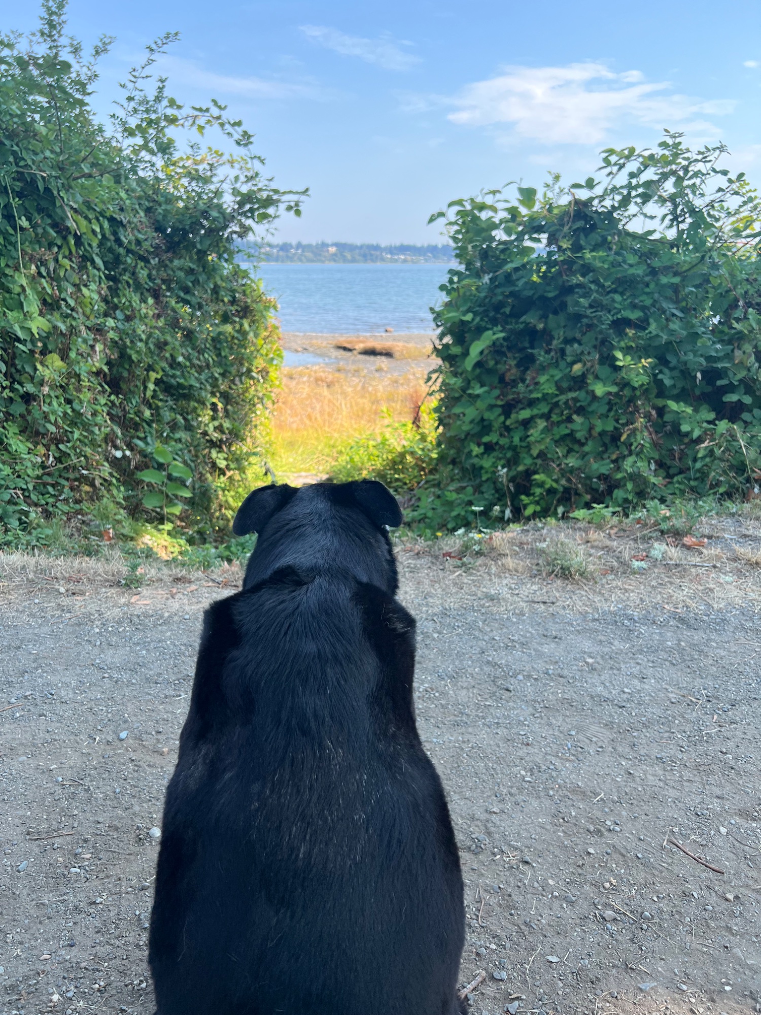 Enjoying the view on Royston seaside trail